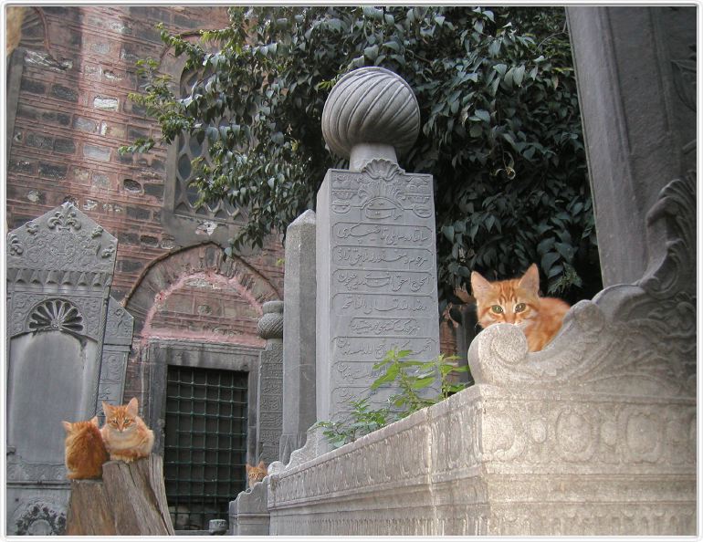 Istanbul