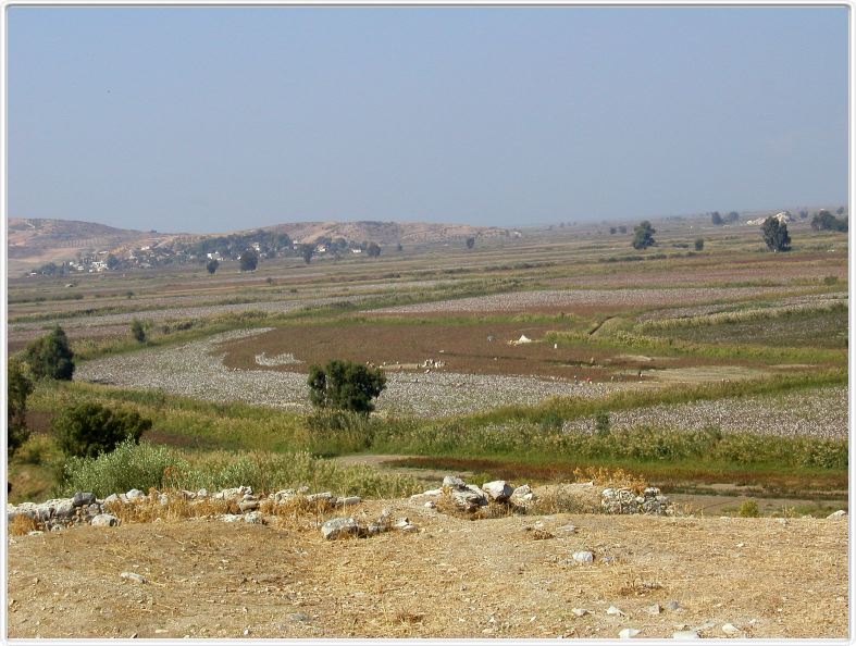 Milet