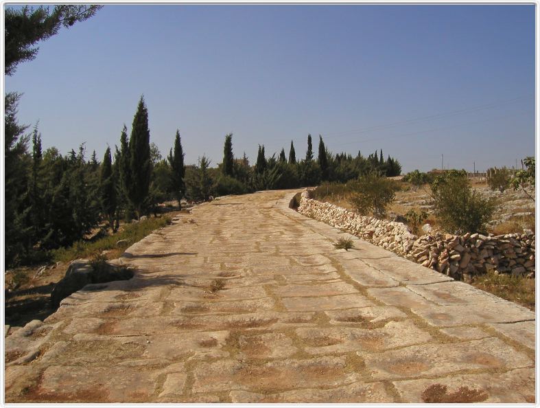 Voie romaine Antioche - Alep (Syrie)