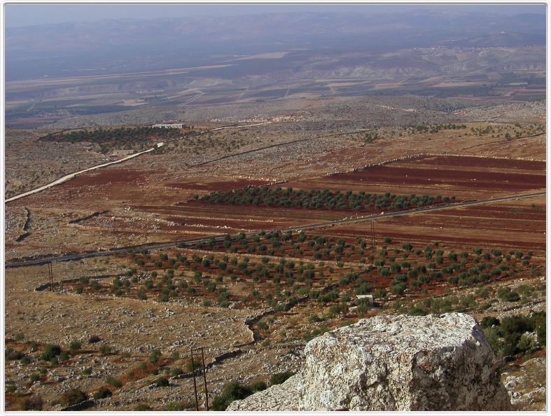 Saint-Siméon  (Qal'at Semaan) (Syrie)