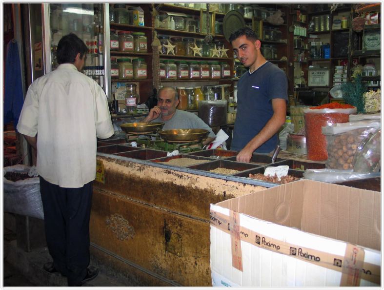 Alep (Syrie)