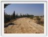 Voie romaine Antioche - Alep (Syrie)