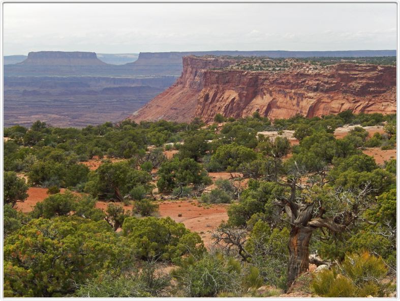 Needles Overlook (Utah).