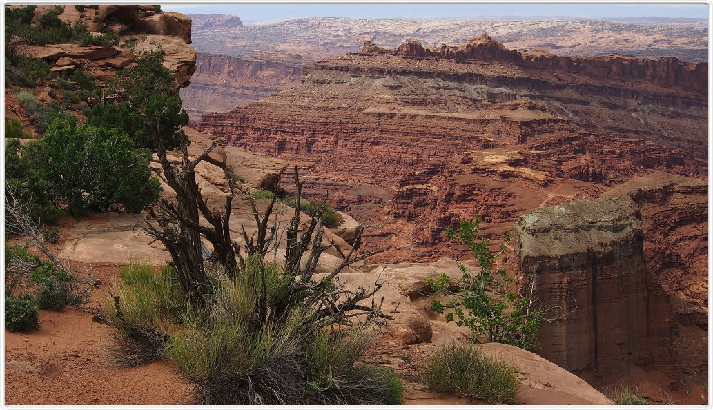 Anticline overlook (Utah).
