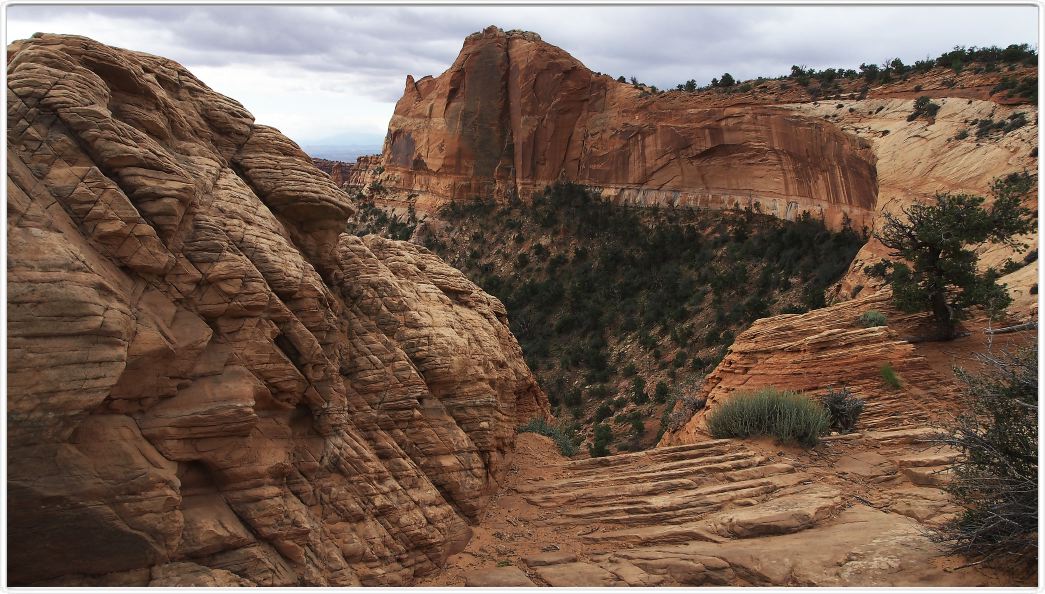 Parc national de Canyonslands (Island in the sky) (Utah).