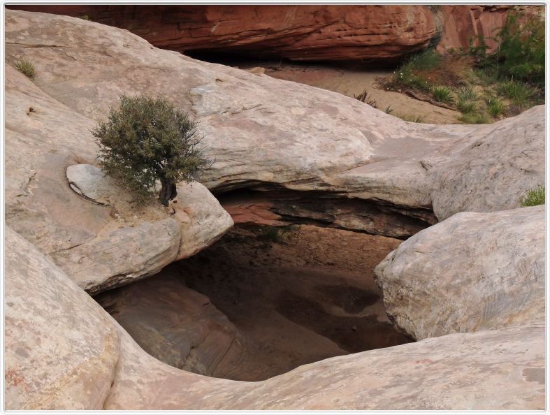 National Park de Capitol Reef (Utah).