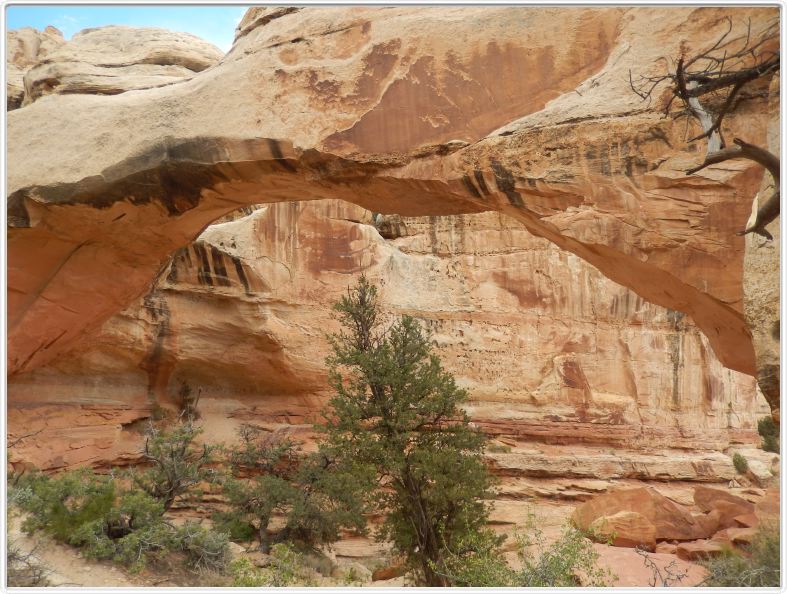 National Park de Capitol Reef (Utah).