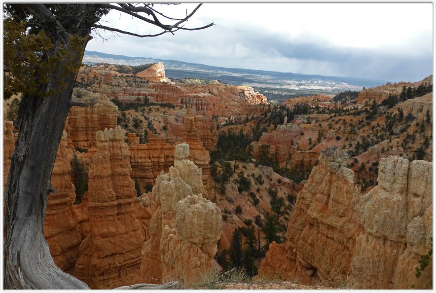 Bryce Canyon (Utah).