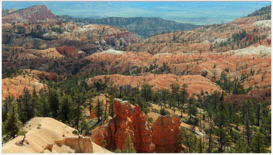 Bryce Canyon (Utah).
