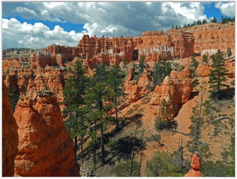 Bryce Canyon (Utah).