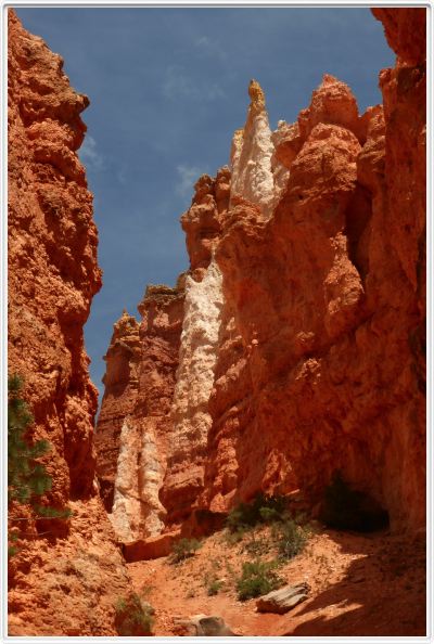 Bryce Canyon (Utah).
