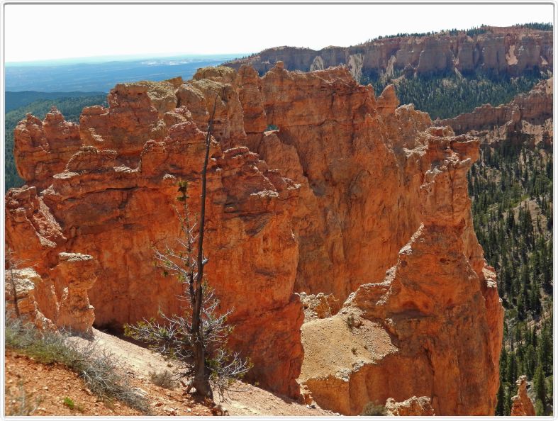 Bryce Canyon (Utah).