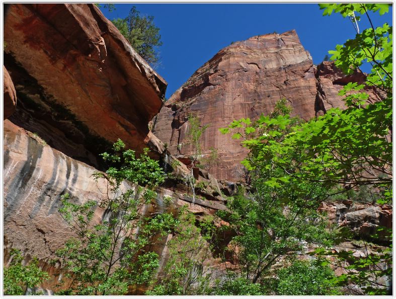 Zion National Park (Utah).