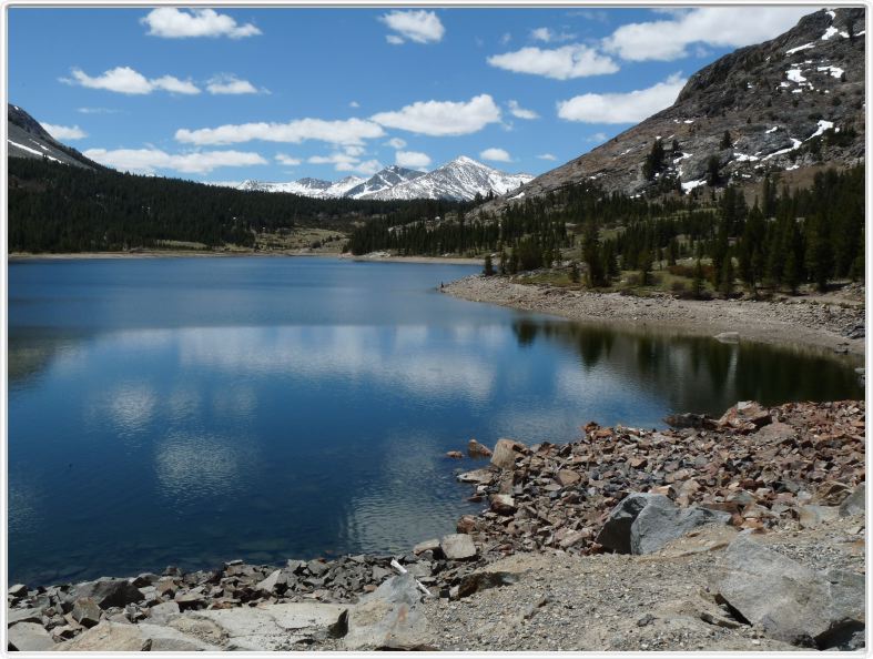 En route pour le Parc Yosemite par le Tioga Pass (Californie).