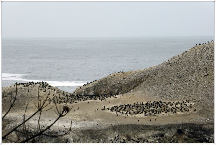 De San Francisco à San Luis Obispo (Californie)