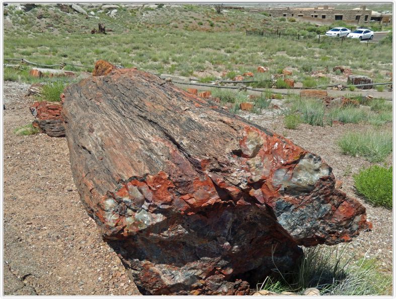 Parc national de la forêt pétrifiée (Arizona).
