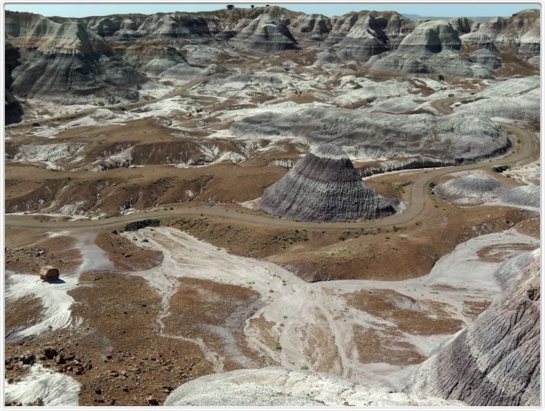 Parc national de la forêt pétrifiée (Arizona).