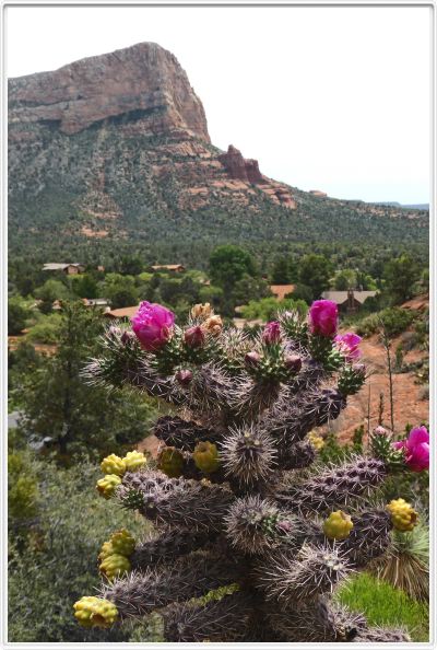 Sedona Arizona Red Rock State Park