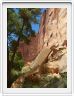 National Park de Capitol Reef (Utah).