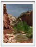 National Park de Capitol Reef (Utah).