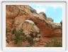 National Park de Capitol Reef (Utah).