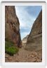 National Park de Capitol Reef (Utah).