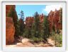 Bryce Canyon (Utah).