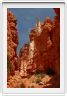 Bryce Canyon (Utah).