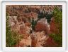 Bryce Canyon (Utah).