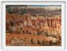 Bryce Canyon (Utah).