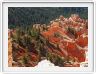 Bryce Canyon (Utah).