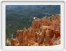 Bryce Canyon (Utah).