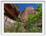 Zion National Park (Utah).