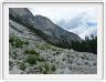 Yosemite National Park (Californie).
