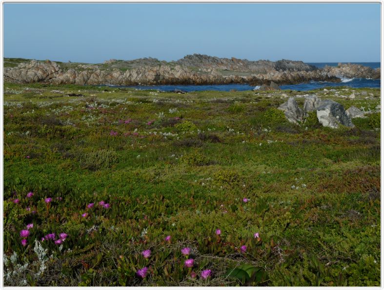 Le Cap Agulhas (Océan indien)