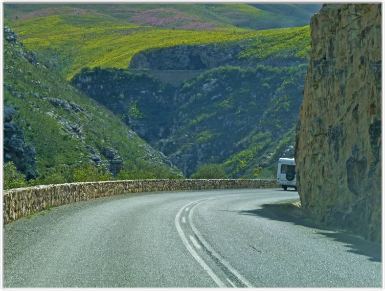En route pour Oudtshoorn, prochaine étape