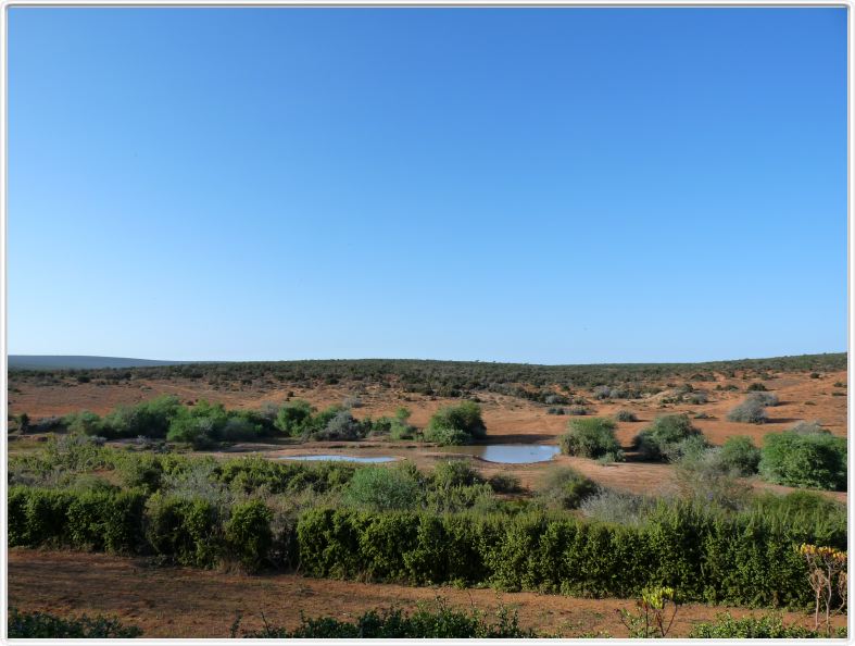 Addo Elephant Park