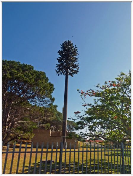 Relai téléphonique dans arbre factice