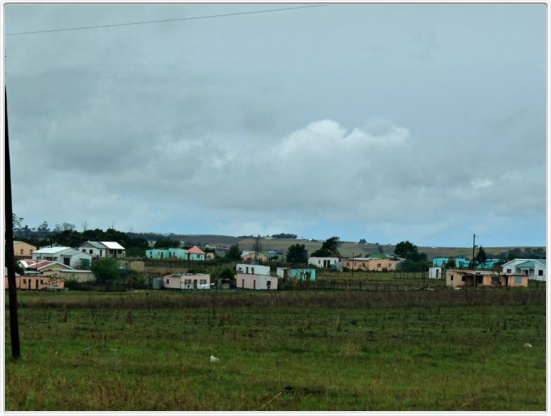 Sur la route de Port Edward (R61)