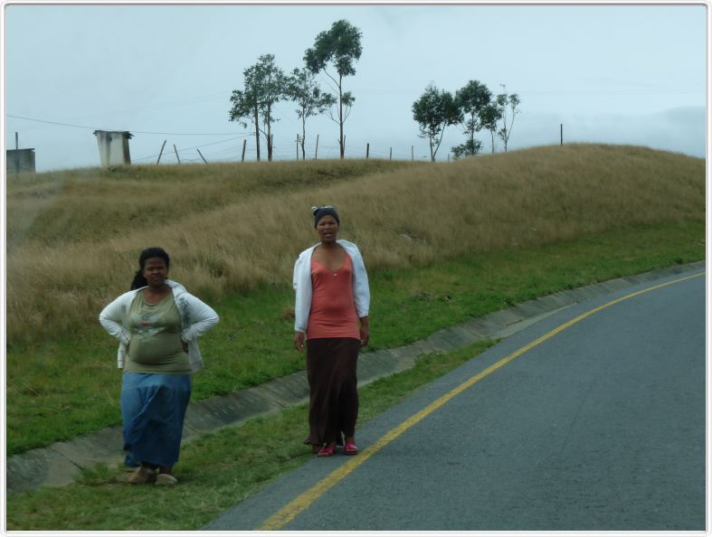 Sur la route de Port Edward (R61)