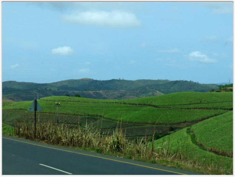 En direction de St Lucia