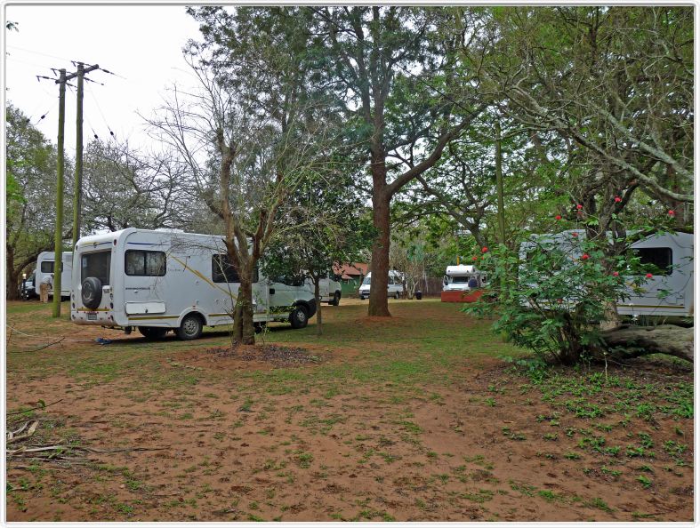 Camping Bushbaby Lodge (Hluhluwe)