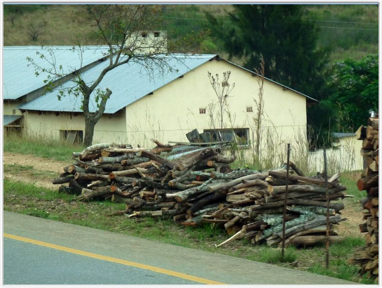Swaziland
