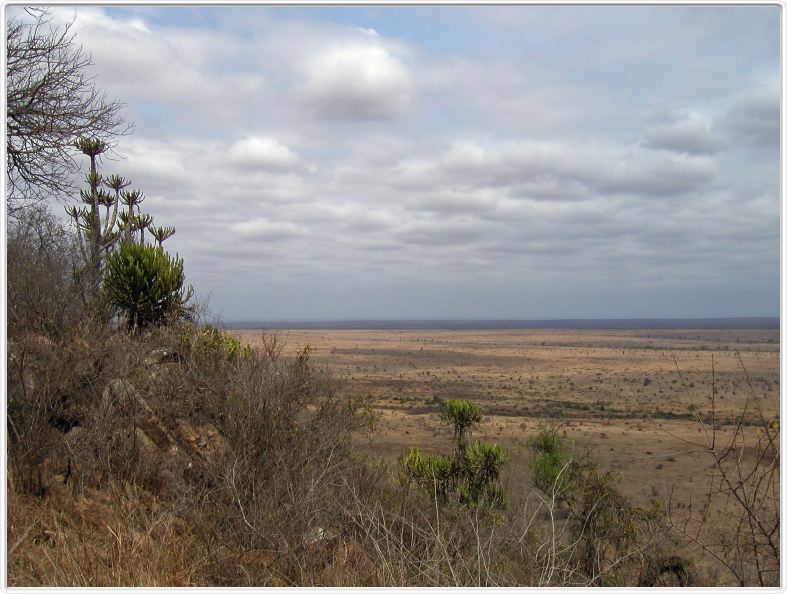 Parc Kruger
