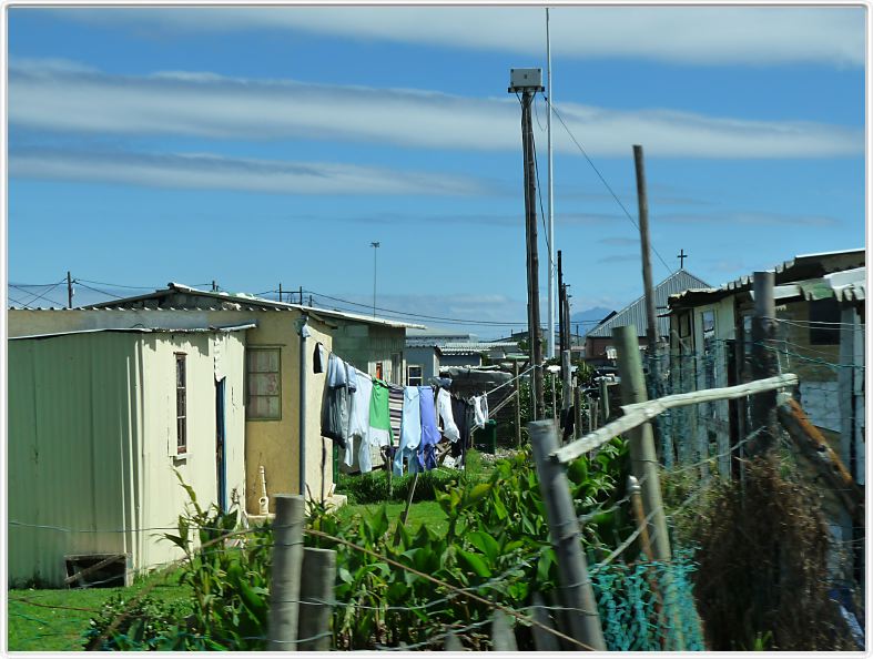 Egarés dans un township près d'Hermanus