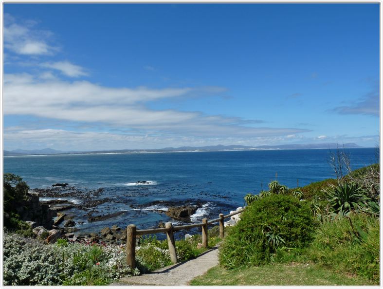 Hermanus