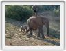 Famille en promenade