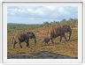 Famille en promenade