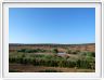 Addo Elephant Park