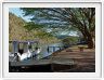 Camping Areena Riverside